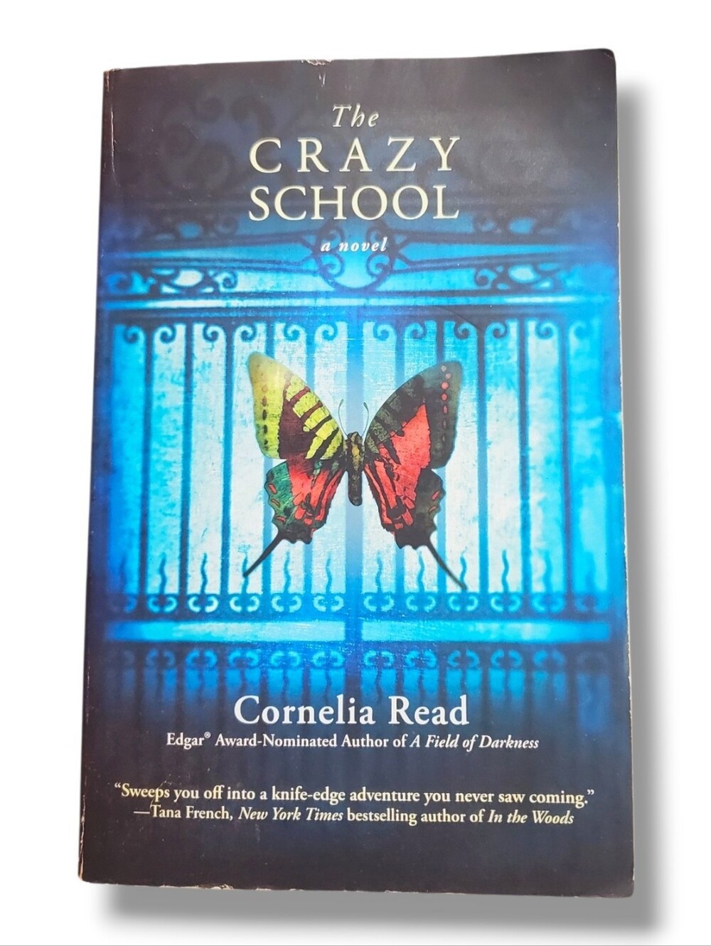 The Crazy School by Cornelia Read (English) Paperback Book